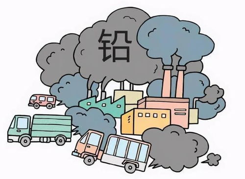 高速沿線綠化與土壤環境防護 為何禁種莊稼，重在防治什么？