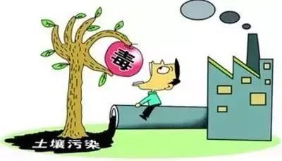 守護大地根基 土壤污染知多少及其防治服務